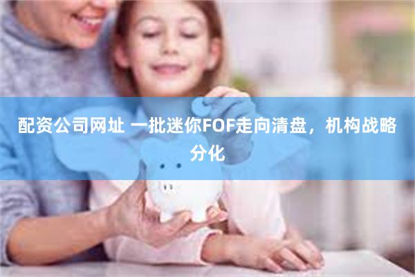 配资公司网址 一批迷你FOF走向清盘，机构战略分化