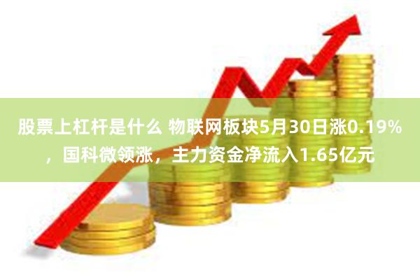 股票上杠杆是什么 物联网板块5月30日涨0.19%，国科微领涨，主力资金净流入1.65亿元