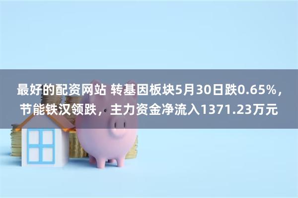 最好的配资网站 转基因板块5月30日跌0.65%，节能铁汉领跌，主力资金净流入1371.23万元