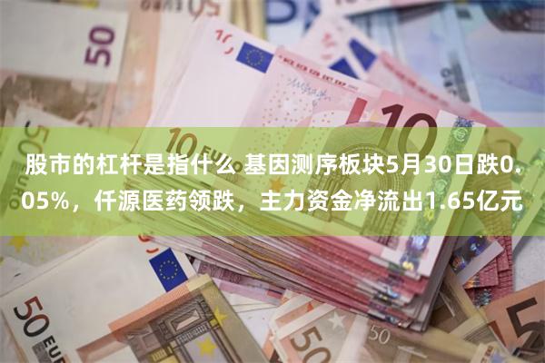 股市的杠杆是指什么 基因测序板块5月30日跌0.05%，仟源医药领跌，主力资金净流出1.65亿元