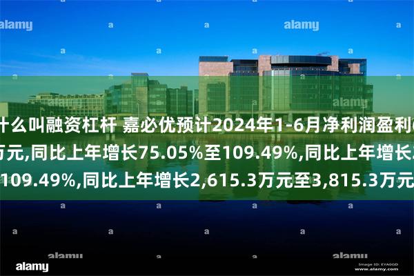 什么叫融资杠杆 嘉必优预计2024年1-6月净利润盈利6,100万元至7,300万元,同比上年增长75.05%至109.49%,同比上年增长2,615.3万元至3,815.3万元