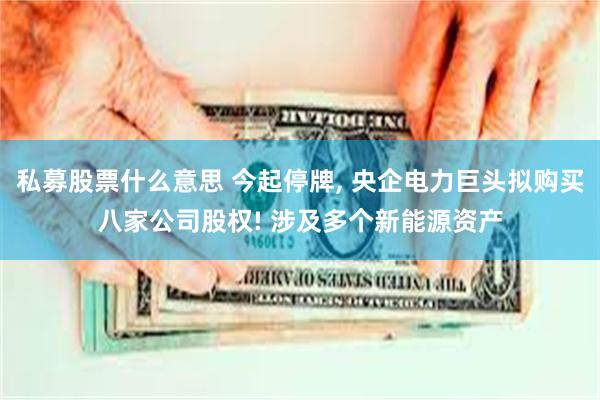 私募股票什么意思 今起停牌, 央企电力巨头拟购买八家公司股权! 涉及多个新能源资产