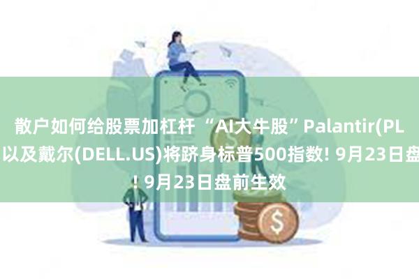 散户如何给股票加杠杆 “AI大牛股”Palantir(PLTR.US)以及戴尔(DELL.US)将跻身标普500指数! 9月23日盘前生效