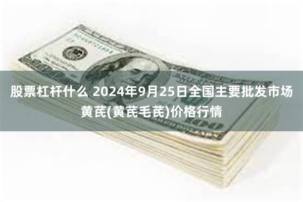 股票杠杆什么 2024年9月25日全国主要批发市场黄芪(黄芪毛芪)价格行情