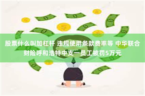 股票什么叫加杠杆 违规使用条款费率等 中华联合财险呼和浩特中支一员工被罚5万元