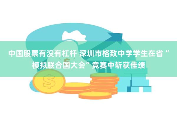 中国股票有没有杠杆 深圳市格致中学学生在省“模拟联合国大会”竞赛中斩获佳绩