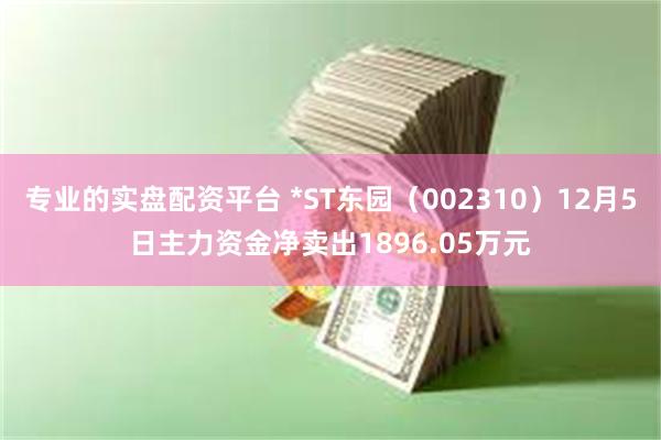 专业的实盘配资平台 *ST东园（002310）12月5日主力资金净卖出1896.05万元