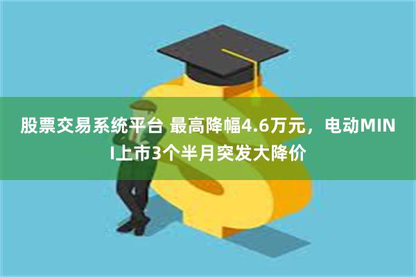 股票交易系统平台 最高降幅4.6万元，电动MINI上市3个半月突发大降价