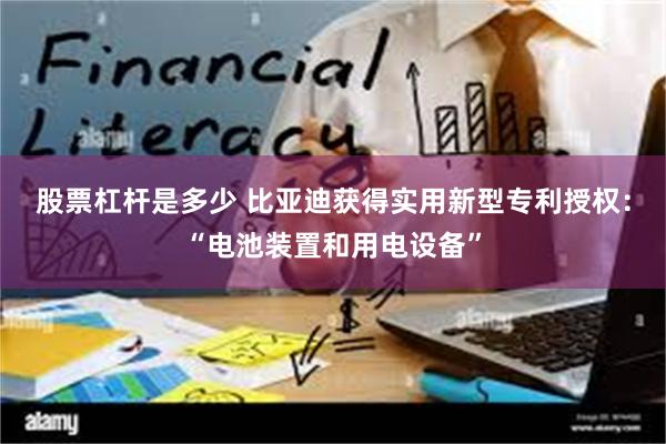 股票杠杆是多少 比亚迪获得实用新型专利授权：“电池装置和用电设备”